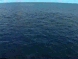 This ain't the USS Buffalo, but all wet subs look the same.