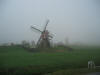 A taste of true Holland.
